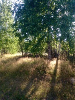 Чем сегодня занимались - image.jpg