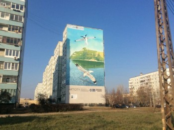 Посмотри .. стрит-арт - чайки фото.JPG