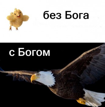 Из ВКонтактика с приветиком  - ELHc_W3Fzyc.jpg