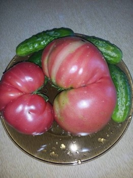 Прямо с грядки Наш урожай  - IMG_20170814_192235.jpg