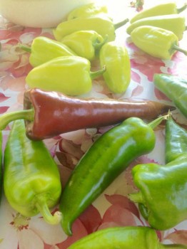 Прямо с грядки Наш урожай  - image.jpg