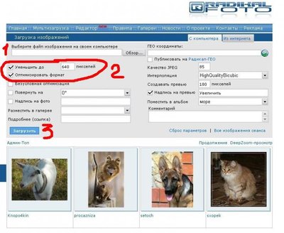 Монохромная вышивка - 0000.JPG