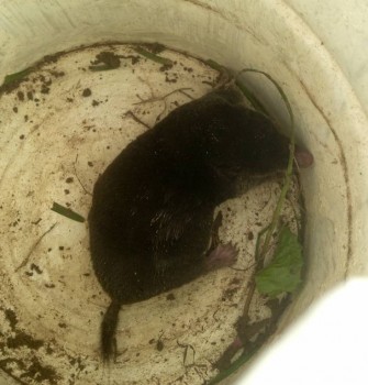 ВСЁ обо ВСЁМ или наши флудилки - 2 - image.jpg