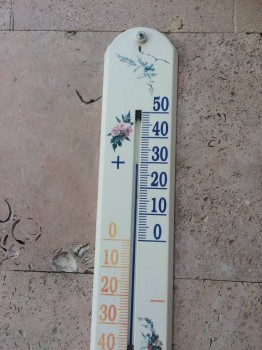 Клуб фелинологов-любителей  - image.jpg