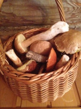 Лесная сказка  - image.jpg