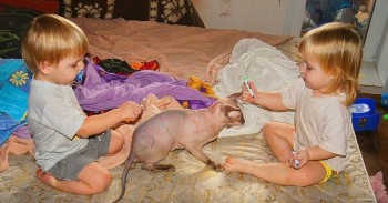 Шутки в сторону  - IMG_4438.JPG