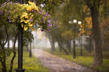 Чернигов Древний. Городские хроники - NiWMqOD9mNQ.jpg