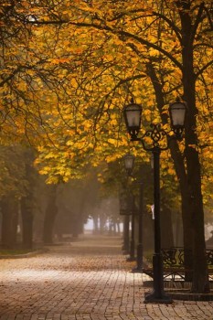 Чернигов Древний. Городские хроники - RjScJeP_vpc.jpg