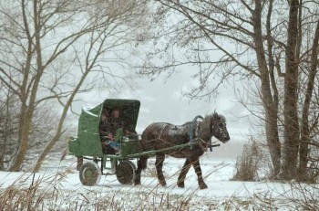 Поэзия - FB_IMG_1510483848713.jpg