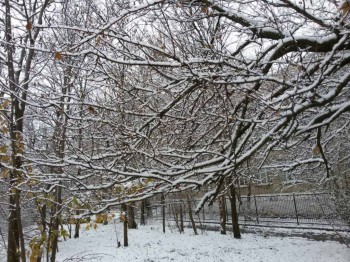 Поговорим о погоде - IMG-c7872283019c8f9be9bca43e2ef3fb03-V.jpg