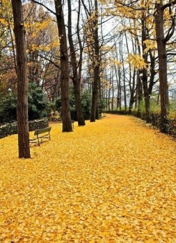 Из ВКонтактика с приветиком  - IMG_1301.JPG