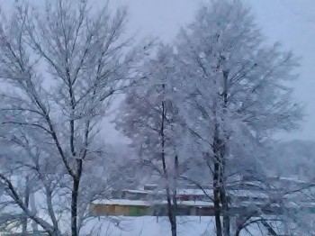 Поговорим о погоде - P_20171212_082111.jpg