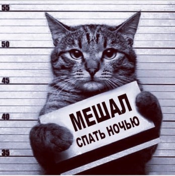 Шутки в сторону  - image.jpg