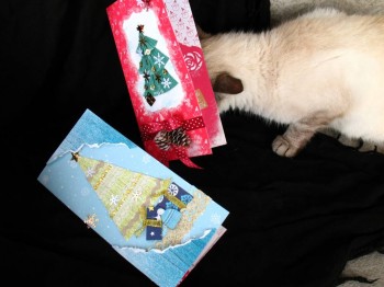 Скрапбукинг и все о нем - IMG_0021.JPG