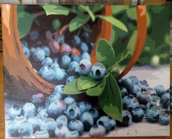 Рисование по номерам - IMG_20170602_174652.jpg