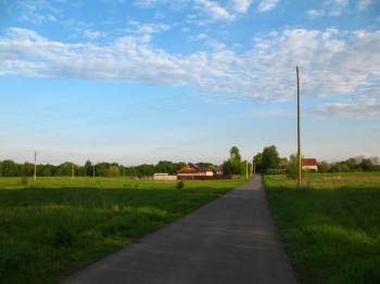 Садово-огородные дела. - IMG_0087.JPG