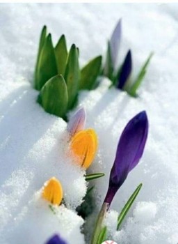 Поговорим о погоде - Screenshot_2018-03-03-12-47-51_1.jpg