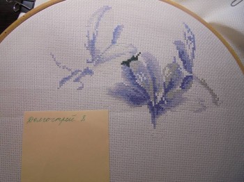 Конкурс Победим Долгострой-8  - DSC04181.JPG