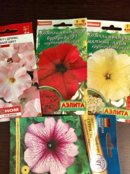 Декоративные садовые растения. - IMG_20180312_180339.jpg