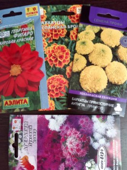 Декоративные садовые растения. - IMG_20180312_180445.jpg