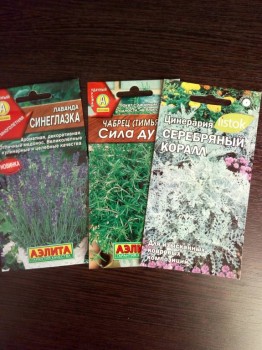 Декоративные садовые растения. - IMG_20180312_180515.jpg