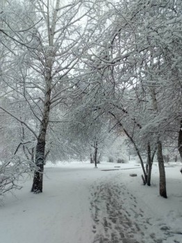 Поговорим о погоде - IMG_20180424_150334.jpg