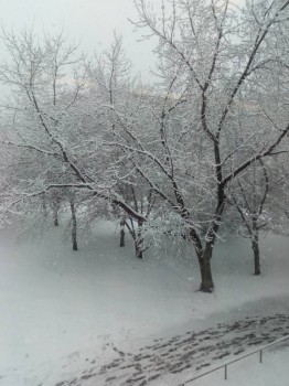 Поговорим о погоде - IMG_20180424_142010.jpg