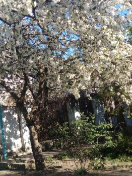 Поговорим о погоде - IMG_20180423_163524.jpg