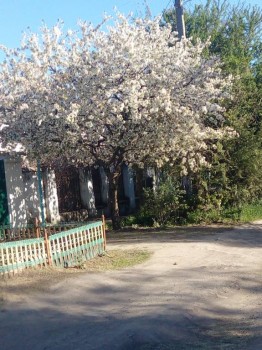 Поговорим о погоде - IMG_20180423_163513_BURST001_COVER.jpg