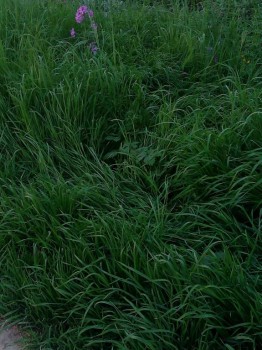 Поговорим о погоде - IMG_20180423_163544.jpg