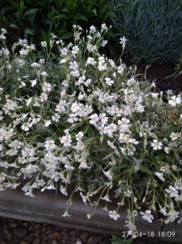 Не знаю,как называются,но очень мне они нравятся.