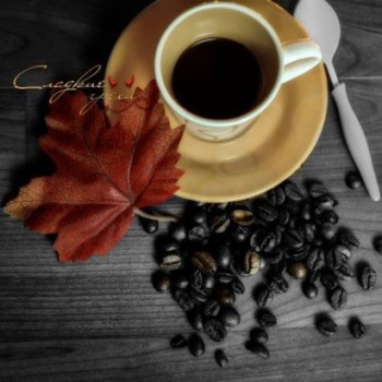 Аватарки. Наши интернет-лица-2 - 2.jpg