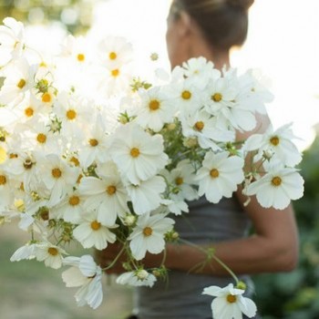 Аватарки. Наши интернет-лица-2 - 4.jpg