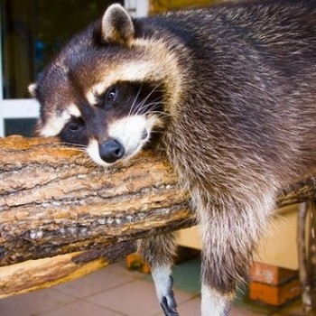 Аватарки. Наши интернет-лица-2 - 8.jpg