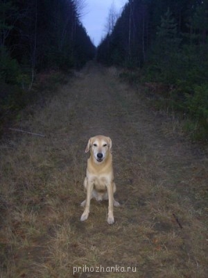 КОШЕЛЕК ИЛИ ЖИЗНЬ ?! )))))