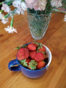 Садово-огородные дела. - IMG_20180515_145049.jpg