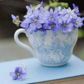 Аватарки. Наши интернет-лица-2 - 6.jpg