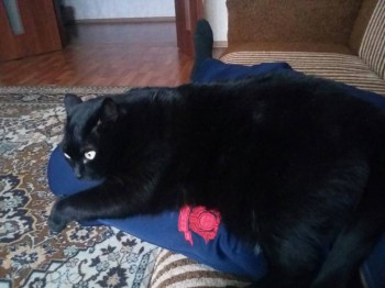 Кого из животных вы содержите? Фото приветствуется. - IMG-20180424-WA0000.jpg