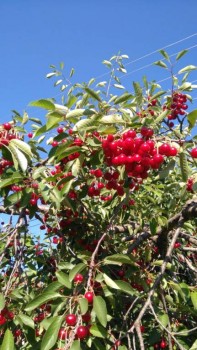 ВСЁ обо ВСЁМ или наши флудилки - 2 - IMG-20180614-WA0000.jpg