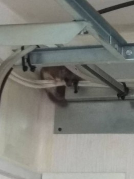 ВСЁ обо ВСЁМ или наши флудилки - 2 - IMG_20180704_200127_902.jpg