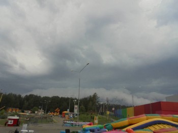 Мне бы в небо.. - DSC04231.JPG