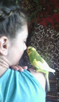 Попугайчики и все о них... - IMG_20180807_151110.jpg