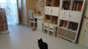 Еще раз о порядке в доме - WhatsApp Image 2018-08-17 at 17.48.23(1).jpeg