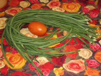 Прямо с грядки Наш урожай  - вигна.jpg