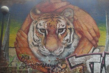 Посмотри .. стрит-арт - FB_IMG_1535236197987.jpg