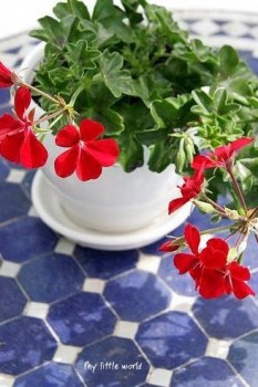 Доброго утра Хорошего дня Спокойной ночи  - 1535262412.jpg