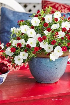 Доброго утра Хорошего дня Спокойной ночи  - 1535262407.jpg