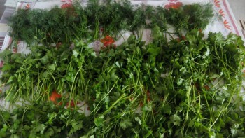 Рецептик дня-2 - IMG_20180826_133013.jpg