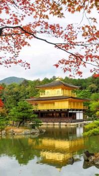 Доброго утра Хорошего дня Спокойной ночи  - magazine-unlock-05-2.3.1082-_E493EC4D32176D003FE21237B48335D1.jpg