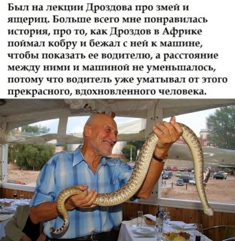 В мире животных фото, видео  - 1535970478.jpg